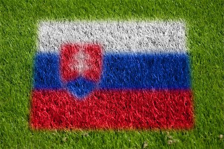 fairplay - flag of slovakia on grass with spray Stockbilder - Microstock & Abonnement, Bildnummer: 400-05278441
