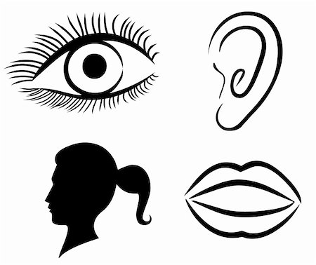 silhouette icon of beautiful woman - Female Face Illustration: Eyes Nose Lips and Ear Stock Photo - Budget Royalty-Free & Subscription, Code: 400-05278807