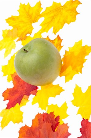 simsearch:400-07210105,k - Green Apple Surrounded by Vibrant Autumn Leaves. Foto de stock - Royalty-Free Super Valor e Assinatura, Número: 400-05278988