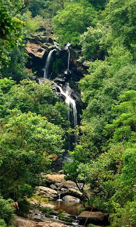 simsearch:400-04904211,k - waterfall in forest Fotografie stock - Microstock e Abbonamento, Codice: 400-05279364