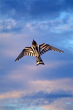 simsearch:400-06327777,k - Kite flying over the blue cloudy sky Foto de stock - Super Valor sin royalties y Suscripción, Código: 400-05279716