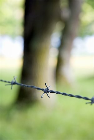 simsearch:400-05300192,k - Barbed wire protecting a green meadow Stock Photo - Budget Royalty-Free & Subscription, Code: 400-05270050