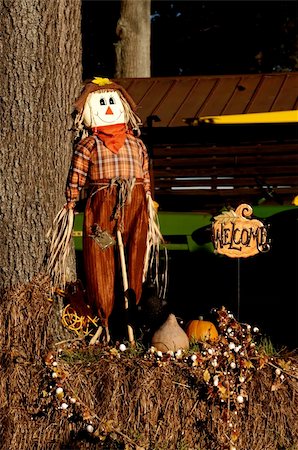 A halloween holiday scarecrow welcoming trick or treaters Stock Photo - Budget Royalty-Free & Subscription, Code: 400-05270213
