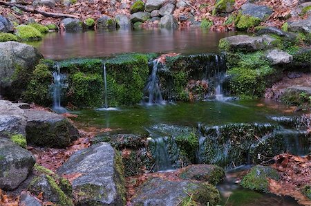 Fern Spring, Yosemite National Park, California Stock Photo - Budget Royalty-Free & Subscription, Code: 400-05270260