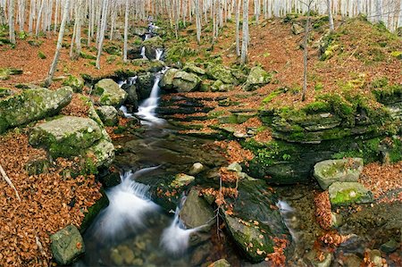 simsearch:400-04407783,k - Mountain creek in a forest with small waterfalls during autumn Stock Photo - Budget Royalty-Free & Subscription, Code: 400-05271223