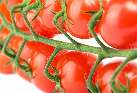 simsearch:400-06101333,k - Cluster of cherry tomatoes on the white Stock Photo - Budget Royalty-Free & Subscription, Code: 400-05272085
