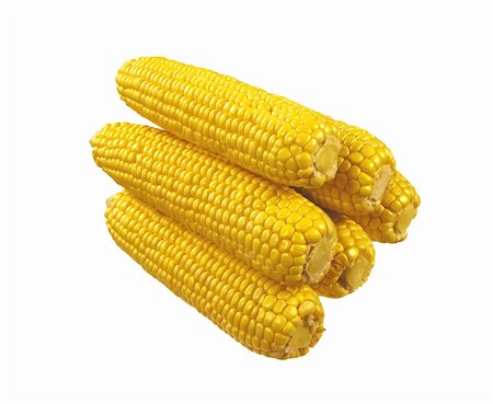 pic of popcorn on the cob - Sweet corn isolated on white background Stock Photo - Budget Royalty-Free & Subscription, Code: 400-05273596
