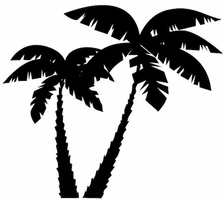 deco tree vector - vector silhouettes of palms Stock Photo - Budget Royalty-Free & Subscription, Code: 400-05273809