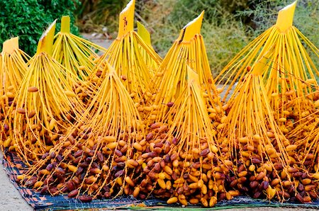 saltywind (artist) - Cut branches with Tunisian dates, lying on the ground Photographie de stock - Aubaine LD & Abonnement, Code: 400-05284155