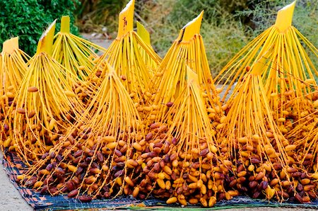 dattier - Cut branches with Tunisian dates, lying on the ground Photographie de stock - Aubaine LD & Abonnement, Code: 400-05284155