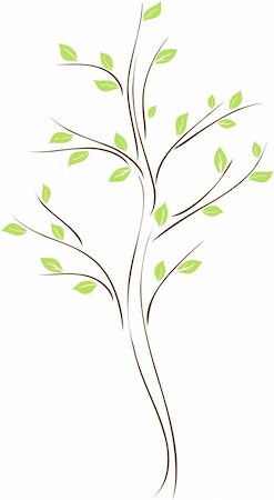 Tree with green leaves on white background Stock Photo - Budget Royalty-Free & Subscription, Code: 400-05284515