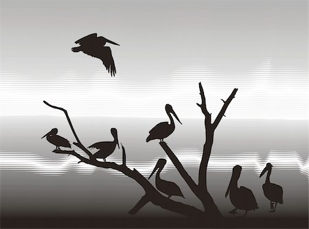 simsearch:400-04261591,k - illustration silhouettes pelicans in nature Foto de stock - Super Valor sin royalties y Suscripción, Código: 400-05284598