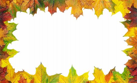 simsearch:400-04360457,k - Frame with colored autumn maple leaves - white background Photographie de stock - Aubaine LD & Abonnement, Code: 400-05285403
