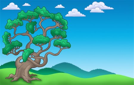 simsearch:400-04267385,k - Landscape with big pine tree - color illustration. Stockbilder - Microstock & Abonnement, Bildnummer: 400-05286025