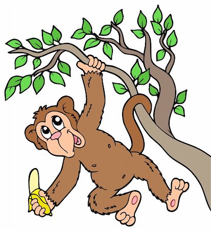 Monkey with banana on tree - vector illustration. Stock Photo - Budget Royalty-Free & Subscription, Code: 400-05286203