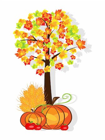 pumpkin leaf pattern - Vector picture of thanksgiving background with pumpkins, crop, apples and tree. RGB Foto de stock - Super Valor sin royalties y Suscripción, Código: 400-05286678