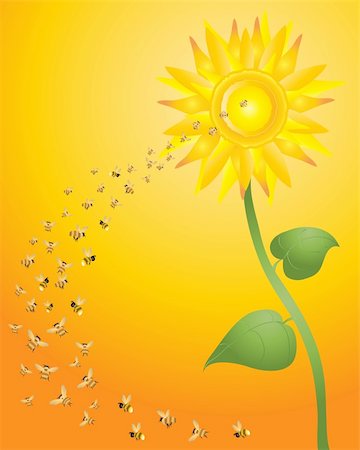 simsearch:400-04785692,k - an illustration of a bright yellow sunflower with a swarm of bees flying towards the center on a honey background Fotografie stock - Microstock e Abbonamento, Codice: 400-05286689