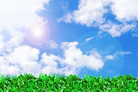 simsearch:400-06143114,k - grass field and beautiful sunshine sky background Fotografie stock - Microstock e Abbonamento, Codice: 400-05286822