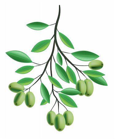 slobelix (artist) - Olive Branch illustration Foto de stock - Royalty-Free Super Valor e Assinatura, Número: 400-05286895