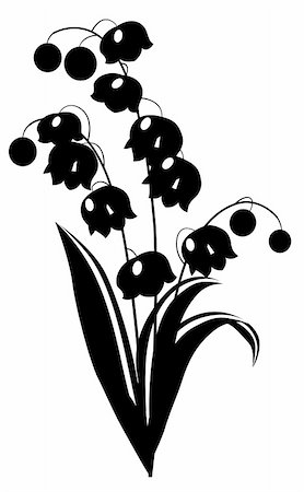 Stylized black and white flower on white background Stock Photo - Budget Royalty-Free & Subscription, Code: 400-05287409