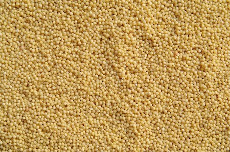 millet, seed, cereal, yellow, backgrounds, texture, dry Foto de stock - Super Valor sin royalties y Suscripción, Código: 400-05287582