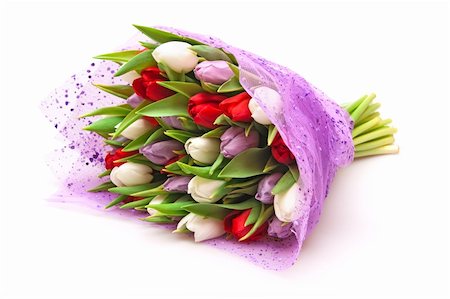 simsearch:400-04340566,k - beautiful bouquet of tulips isolated on white Stockbilder - Microstock & Abonnement, Bildnummer: 400-05287626