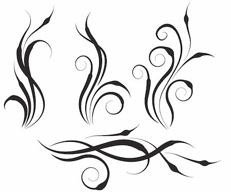 plant drawing decor - Four swirl abstract branches of abstract plants Stock Photo - Budget Royalty-Free & Subscription, Code: 400-05289151