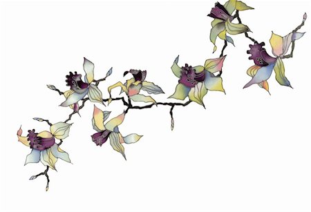 simsearch:400-04776678,k - artwork with a orchid branch isolated on white background Stock Photo - Budget Royalty-Free & Subscription, Code: 400-05289876