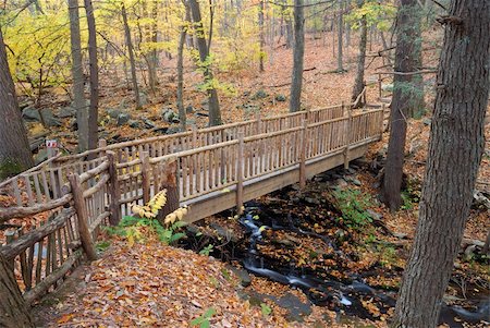 simsearch:400-04240598,k - Autumn Bridge in forest with creek and foliage in woods. Foto de stock - Super Valor sin royalties y Suscripción, Código: 400-05280552
