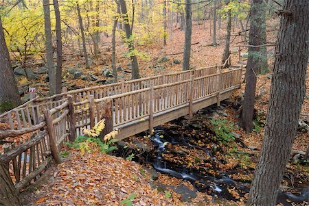 simsearch:400-04240598,k - Autumn Bridge in forest with creek and foliage in woods. Foto de stock - Royalty-Free Super Valor e Assinatura, Número: 400-05280552