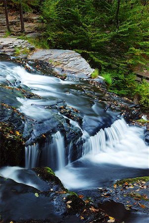 simsearch:400-04240598,k - Creek in woods with rocks and foliage Foto de stock - Royalty-Free Super Valor e Assinatura, Número: 400-05280590