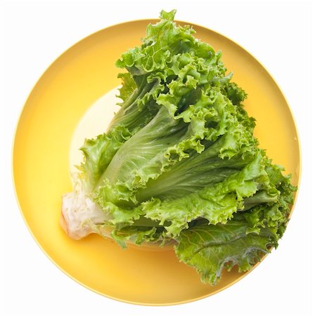 simsearch:400-04281267,k - Fresh Lettuce in a Vibrant Yellow Bowl Isolated on White with a Clipping Path. Stock Photo - Budget Royalty-Free & Subscription, Code: 400-05280822