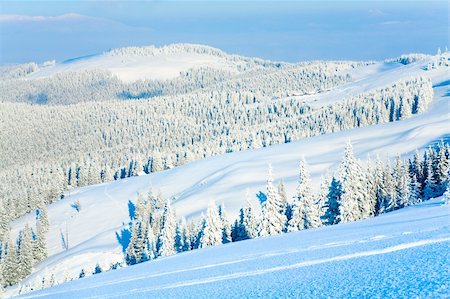 simsearch:400-04319458,k - Winter mountain view with snow surface on mountainside in front and fir forest behind.  (Carpathian Mountains, Ukraine) Stock Photo - Budget Royalty-Free & Subscription, Code: 400-05281515