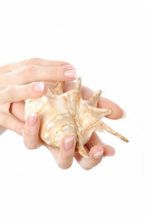 simsearch:400-06061806,k - Beautiful hand with perfect french manicure on treated nails holding sea shell. isolated on white background Stock Photo - Budget Royalty-Free & Subscription, Code: 400-05281712