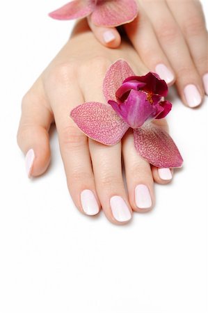 simsearch:400-06061806,k - Beautiful hand with perfect nail pink manicure and purple orchid flower. isolated on white background Stock Photo - Budget Royalty-Free & Subscription, Code: 400-05281727