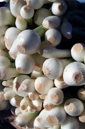 Onions on display at a local farmer's market Stockbilder - Microstock & Abonnement, Bildnummer: 400-05281834