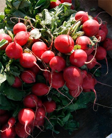 Radishes on display at a local farmer's market Stockbilder - Microstock & Abonnement, Bildnummer: 400-05281836