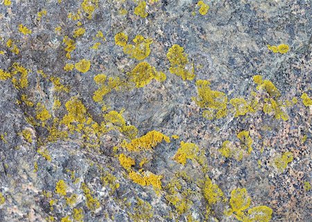 simsearch:400-05901933,k - The surface of natural stone with patches of lichen Stock Photo - Budget Royalty-Free & Subscription, Code: 400-05282635