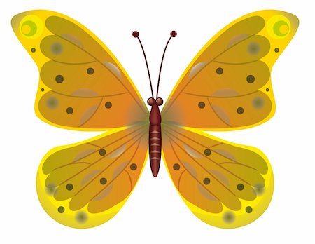 simsearch:400-08402802,k - A beautiful yellow butterfly isolated.  Vector illustration. Vector art in Adobe illustrator EPS format, compressed in a zip file. The different graphics are all on separate layers so they can easily be moved or edited individually. The document can be scaled to any size without loss of quality. Stockbilder - Microstock & Abonnement, Bildnummer: 400-05282889