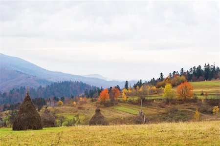 simsearch:400-05246721,k - Beautiful autumnal view of Carpathian Mountains. Ukraine Stockbilder - Microstock & Abonnement, Bildnummer: 400-05283607