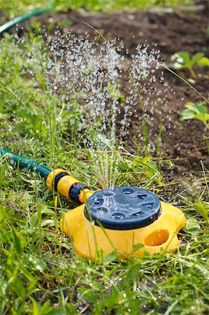 Yellow sprinkler irrigating garden Stock Photo - Budget Royalty-Free & Subscription, Code: 400-05294186