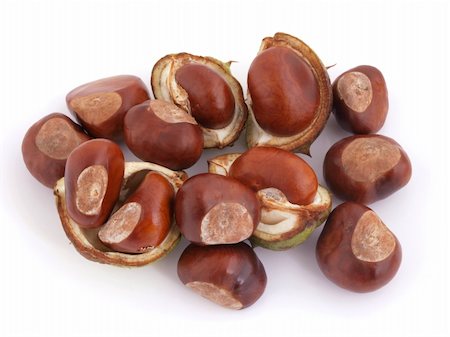 simsearch:859-06470159,k - A Conker is the seed of a Horse Chestnut tree. Photographie de stock - Aubaine LD & Abonnement, Code: 400-05294206