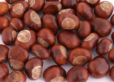 simsearch:859-06470159,k - A Conker is the seed of a Horse Chestnut tree. Photographie de stock - Aubaine LD & Abonnement, Code: 400-05294207