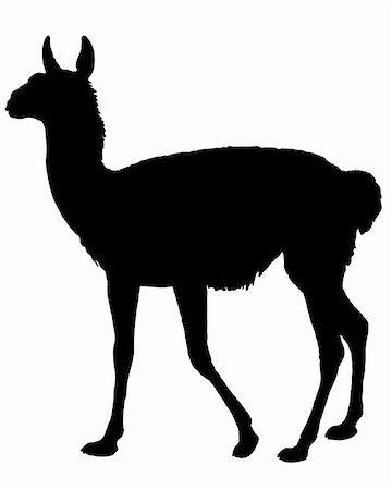 simsearch:400-05317916,k - Guanaco Silhouette Stock Photo - Budget Royalty-Free & Subscription, Code: 400-05294940