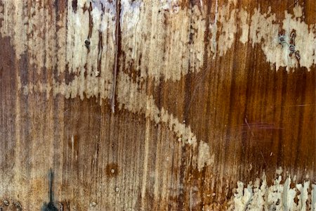 simsearch:400-05166789,k - the old and grunge  vintage wood texture Stockbilder - Microstock & Abonnement, Bildnummer: 400-05297525