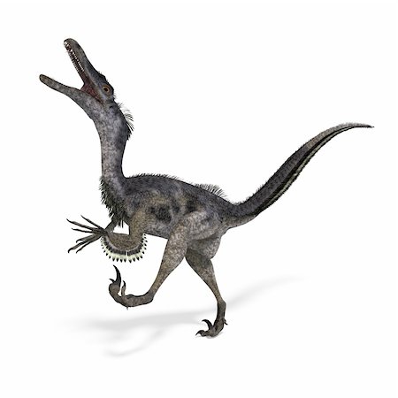 Dinosaur Velociraptor. 3D rendering with clipping path and shadow over white Stock Photo - Budget Royalty-Free & Subscription, Code: 400-05298859