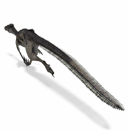 Dinosaur Velociraptor. 3D rendering with clipping path and shadow over white Stock Photo - Budget Royalty-Free & Subscription, Code: 400-05299023