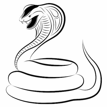 scary snakes - Cobra in the form of a tattoo Stock Photo - Budget Royalty-Free & Subscription, Code: 400-05299431