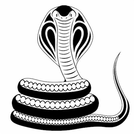 deadly snake vipers - Cobra in the form of a tattoo Stock Photo - Budget Royalty-Free & Subscription, Code: 400-05299444