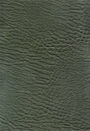 snake textures - Green leather texture Stock Photo - Budget Royalty-Free & Subscription, Code: 400-05299782